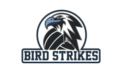 01_Bird Strikes Logo.png Thumbnail